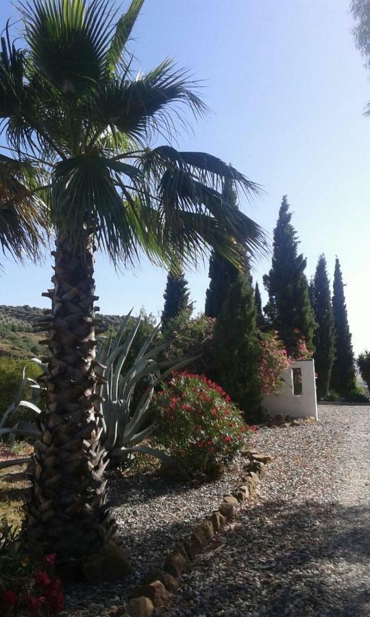 Casa Fuente De La Zorra Guest House Alora Bagian luar foto