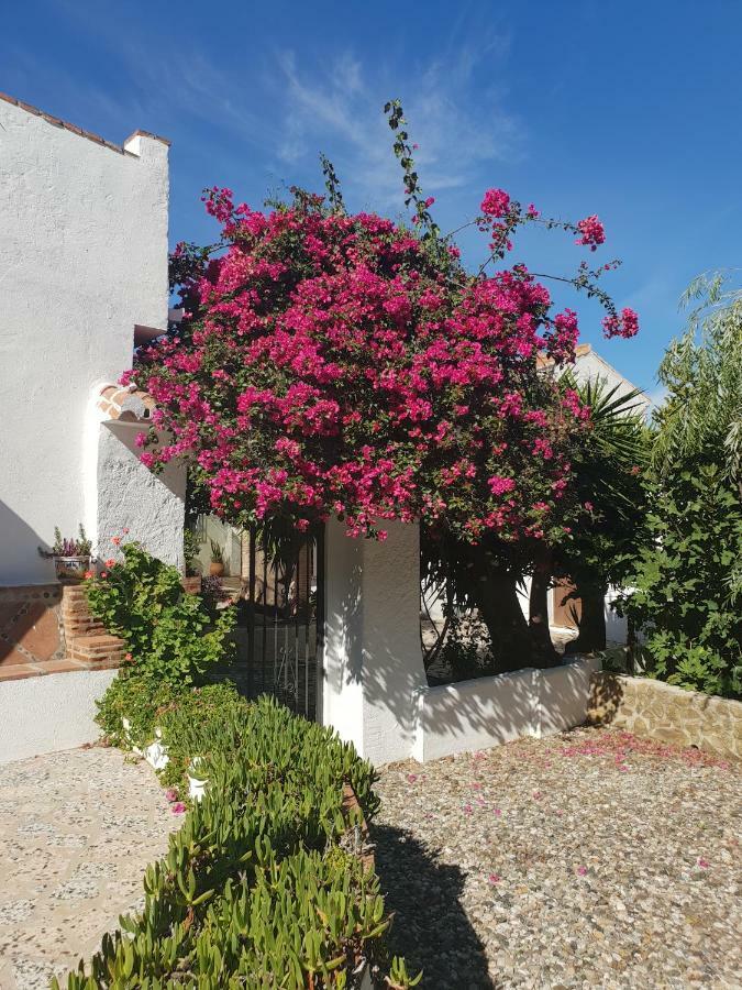 Casa Fuente De La Zorra Guest House Alora Bagian luar foto