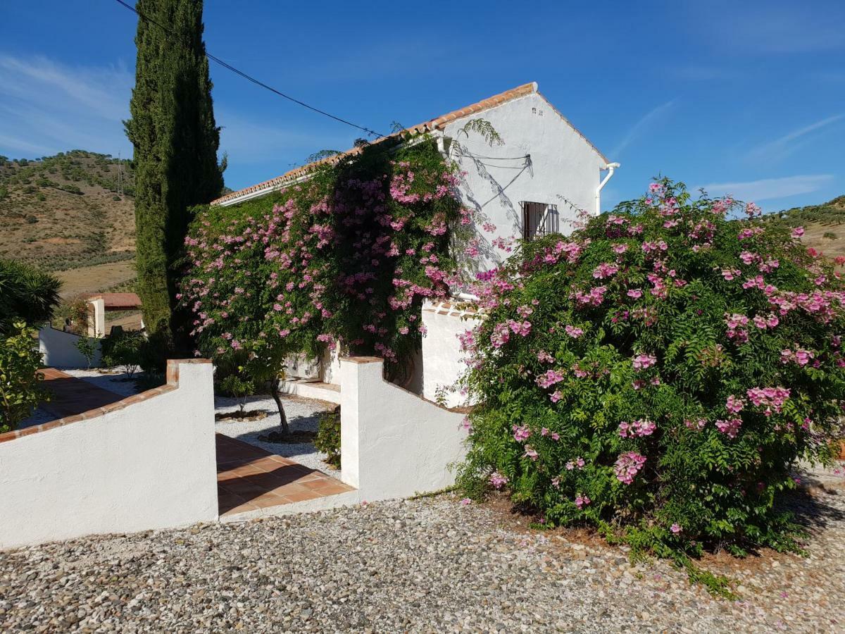 Casa Fuente De La Zorra Guest House Alora Bagian luar foto